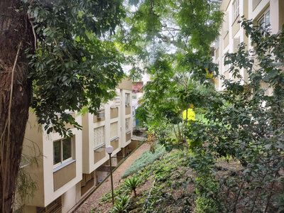 IMG_20211215_104351749_HDR